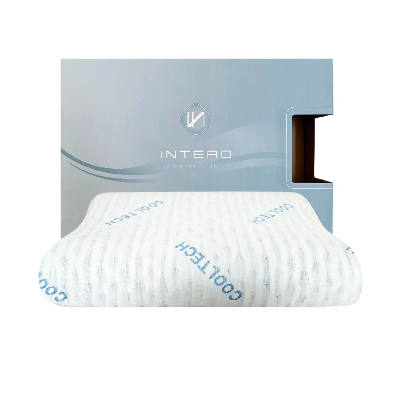 Pregnancy Pillows for Expectant MothersHypoallergenic Pillows for Allergy SufferersIntero CoolTECH Air Pass Charcoal Memory Foam Contour Pillow Pregnancy Pillows for Expectant MothersHypoallergenic Pillows for Allergy SufferersIntero CoolTECH Air Pass Charcoal Memory Foam Contour Pillow