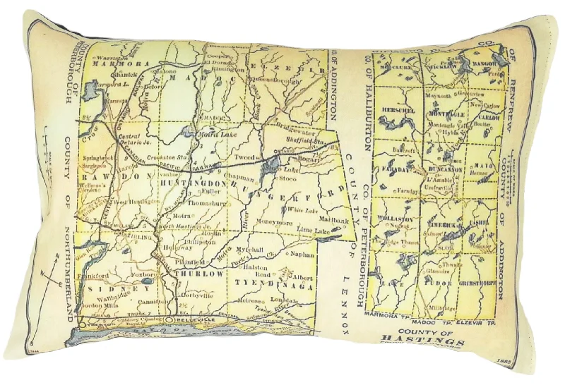 Down Alternative Pillows for Ethical ChoicesDown Alternative Pillows for Ethical ChoicesHastings County Vintage Map Pillow