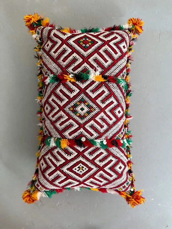 Cotton Pillows for Natural ComfortMemory Foam Pillows for Neck SupportAin Leuh Lumbar Pillow - Lion Paw, Sequins Cotton Pillows for Natural ComfortMemory Foam Pillows for Neck SupportAin Leuh Lumbar Pillow - Lion Paw, Sequins