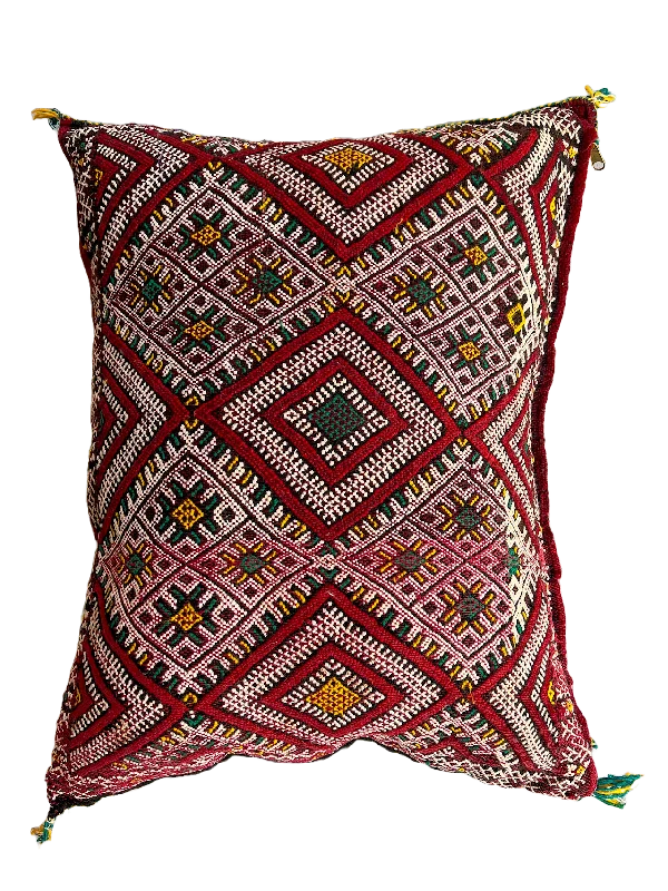 Travel Pillows for Long JourneysFeather Pillows for a Luxurious SleepAin Leuh Pillow - Eye