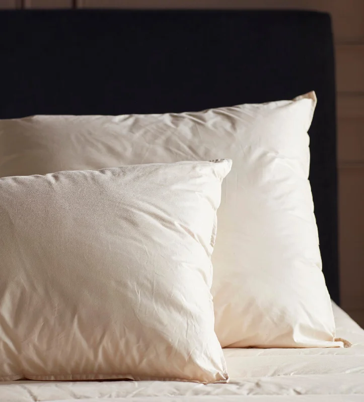 Square Pillows for Modern Home DecorDown Alternative Pillows for Ethical ChoicesBaa Baa Bedtime Finest Wool Pillow Square Pillows for Modern Home DecorDown Alternative Pillows for Ethical ChoicesBaa Baa Bedtime Finest Wool Pillow