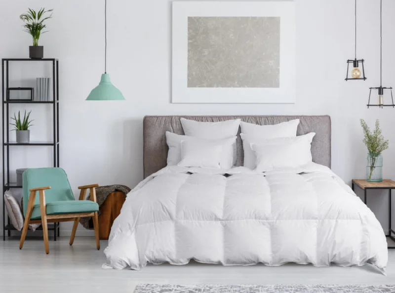 Full - size comforters suitable for full - sized beds in guest rooms or small bedroomsDownright Organa 650+ Hungarian White Goose Down Comforter Full - size comforters suitable for full - sized beds in guest rooms or small bedroomsDownright Organa 650+ Hungarian White Goose Down Comforter