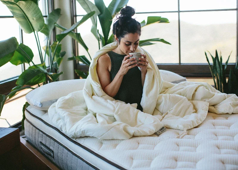 Down - filled comforters for supreme warmth and lightnessNest Bedding Washable Wool Comforter Down - filled comforters for supreme warmth and lightnessNest Bedding Washable Wool Comforter