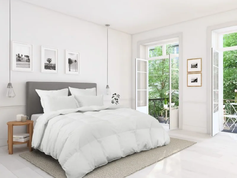 Queen - size comforters for standard queen - sized mattressesDownright Nirvana 700+ Polish White Goose Down Comforters