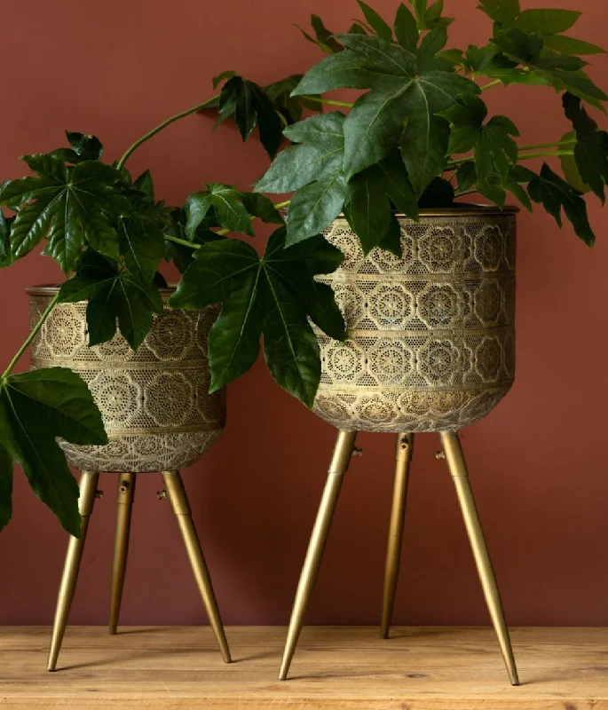 Wool blankets with natural warmth and insulationSynthetic fiber blend blankets for a budget - friendly choiceBotanique Large Plant Stand Wool blankets with natural warmth and insulationSynthetic fiber blend blankets for a budget - friendly choiceBotanique Large Plant Stand