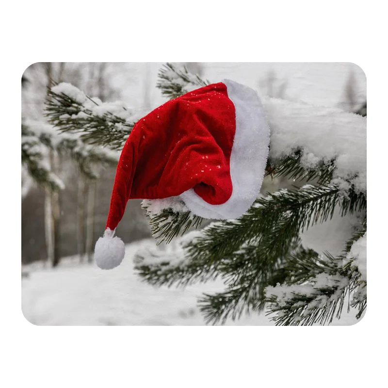 Rayon from bamboo blankets for a silky and breathable feelCashmere blankets for ultimate softness and luxurySanta claus hat (blanket) Rayon from bamboo blankets for a silky and breathable feelCashmere blankets for ultimate softness and luxurySanta claus hat (blanket)