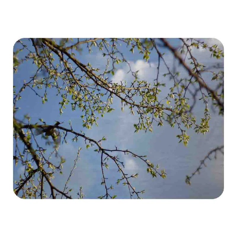 Cashmere blankets for ultimate softness and luxuryChenille blankets with a thick and fuzzy textureTree Branches & Sky Blanket