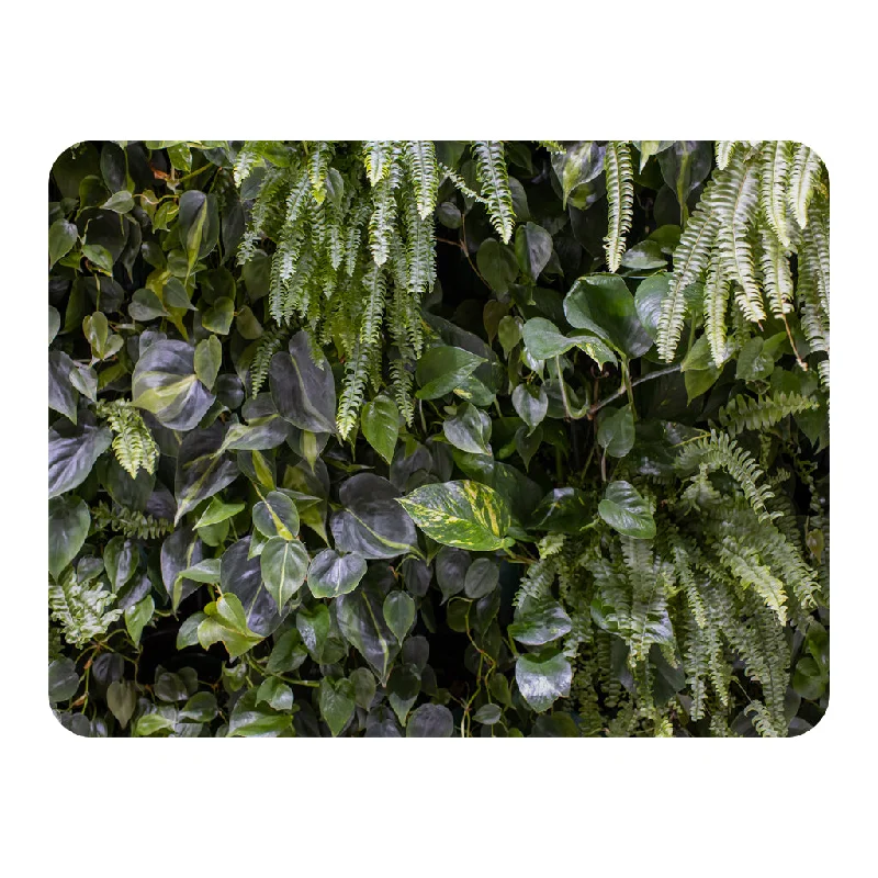 Bamboo fiber blankets with natural antibacterial propertiesSilk blankets with a smooth and elegant touchTrend biophilic design. Wall from plants, vertical garden,urban jungle, modern interior decoration (Blanket)