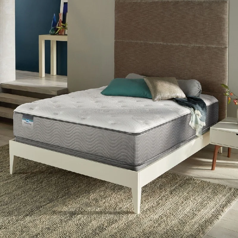 Polyester - foam mattresses for budget - friendly optionsBamboo - charcoal infused mattresses for odor absorptionBeautySleep Kerri 12-inch Luxury Queen-size Firm Innerspring Mattress Set - N/A Polyester - foam mattresses for budget - friendly optionsBamboo - charcoal infused mattresses for odor absorptionBeautySleep Kerri 12-inch Luxury Queen-size Firm Innerspring Mattress Set - N/A