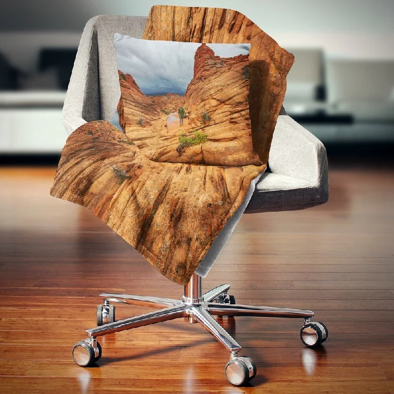 Acrylic blankets for a soft and affordable alternativeKing - size blankets to cover large beds comfortablyDesignart 'Vermillion Cliffs Wilderness' Landscape Fleece Throw Blanket