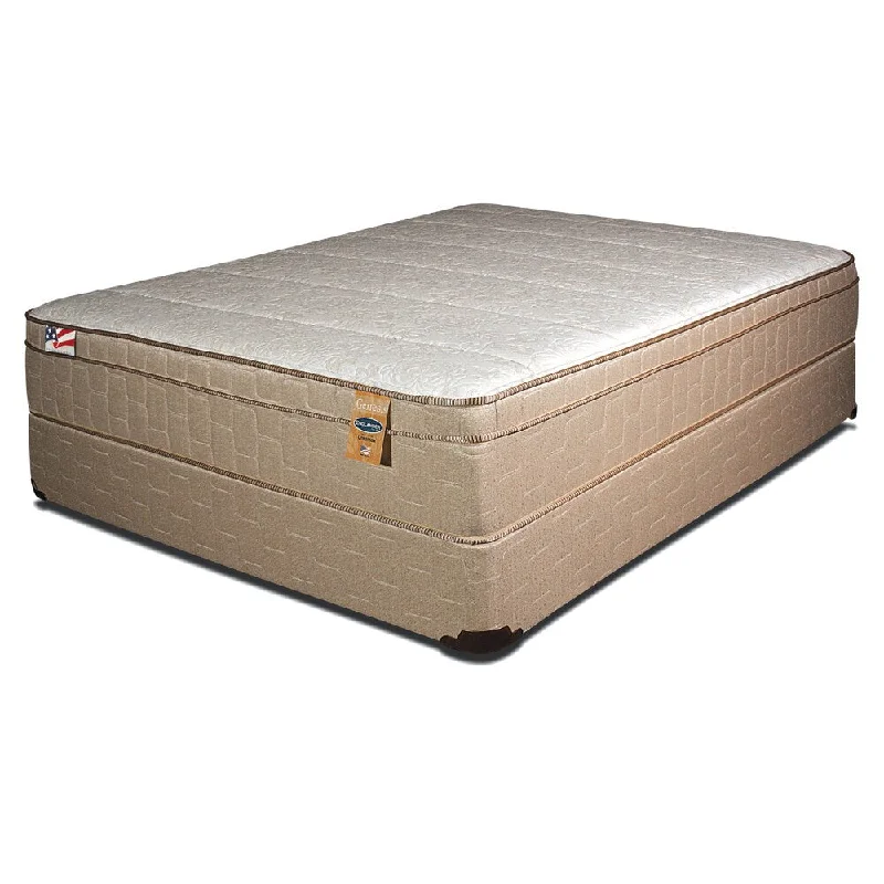 Bamboo - charcoal infused mattresses for odor absorptionInnerspring mattresses with coil counts for supportFurniture of America Englander 13-inch King-size Euro Top Mattress Bamboo - charcoal infused mattresses for odor absorptionInnerspring mattresses with coil counts for supportFurniture of America Englander 13-inch King-size Euro Top Mattress