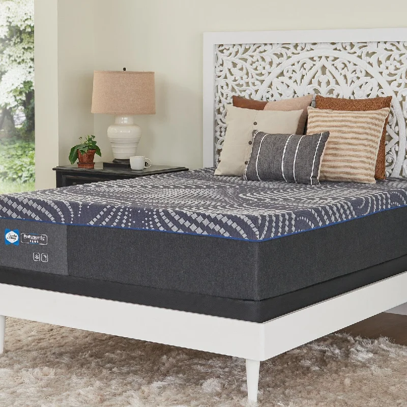 Polyester - foam mattresses for budget - friendly optionsOrganic cotton mattresses for a chemical - free sleep surfaceSealy® Brenham Posturepedic Mattress, Medium Polyester - foam mattresses for budget - friendly optionsOrganic cotton mattresses for a chemical - free sleep surfaceSealy® Brenham Posturepedic Mattress, Medium